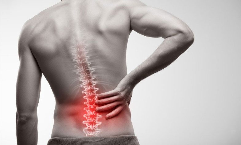 Link to Blame it on the back