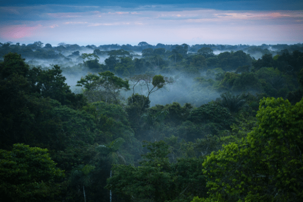 Link to How to find your life’s purpose