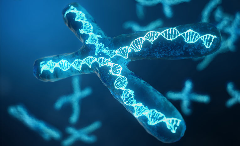 Link to Genes aren’t your destiny