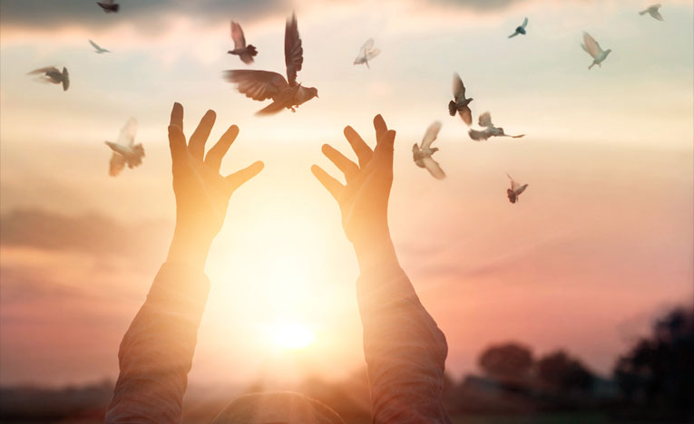 Link to A different take on forgiveness