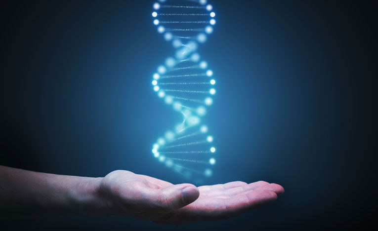 Link to Reversing your genetic destiny