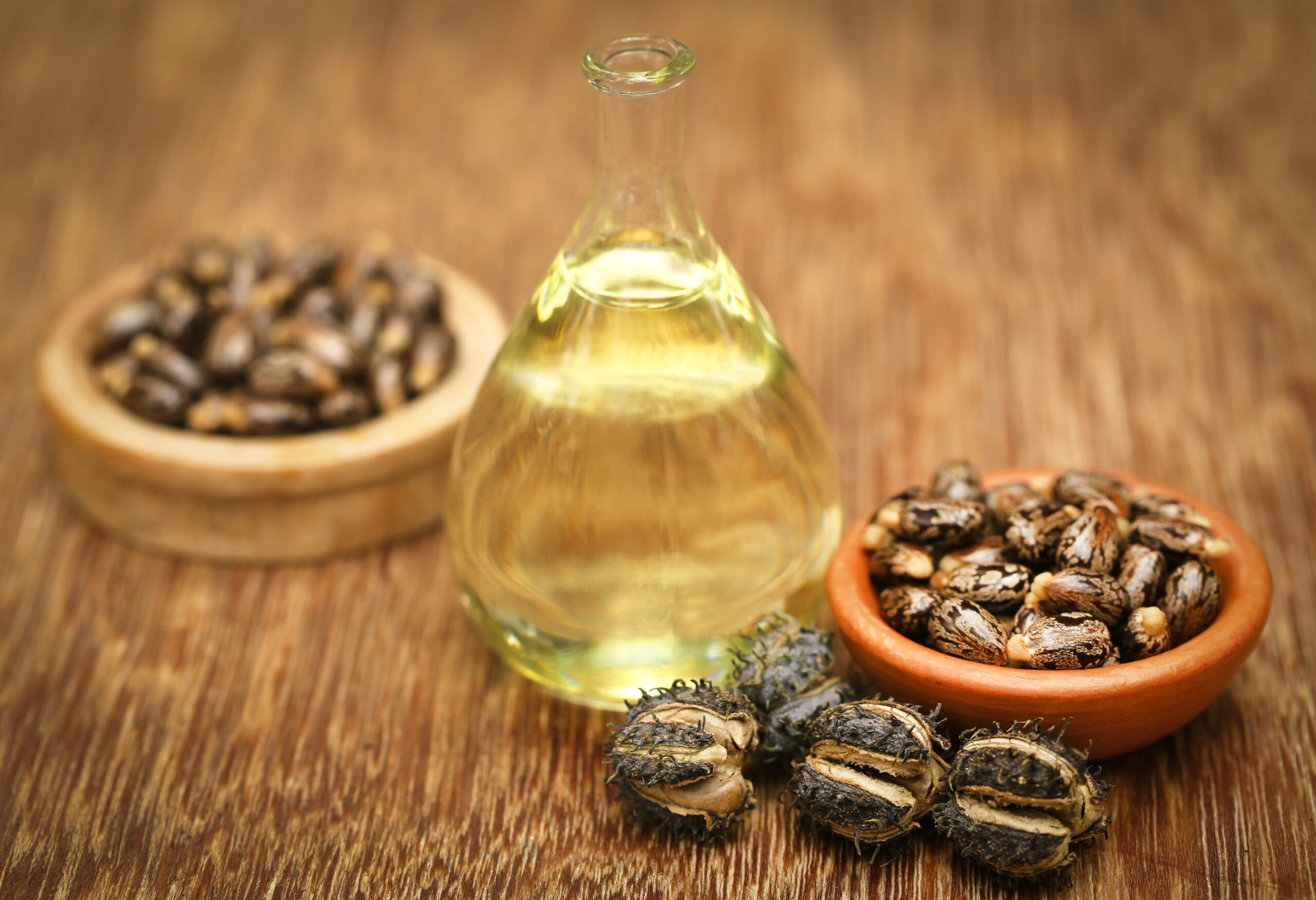Castor Beans And Oil