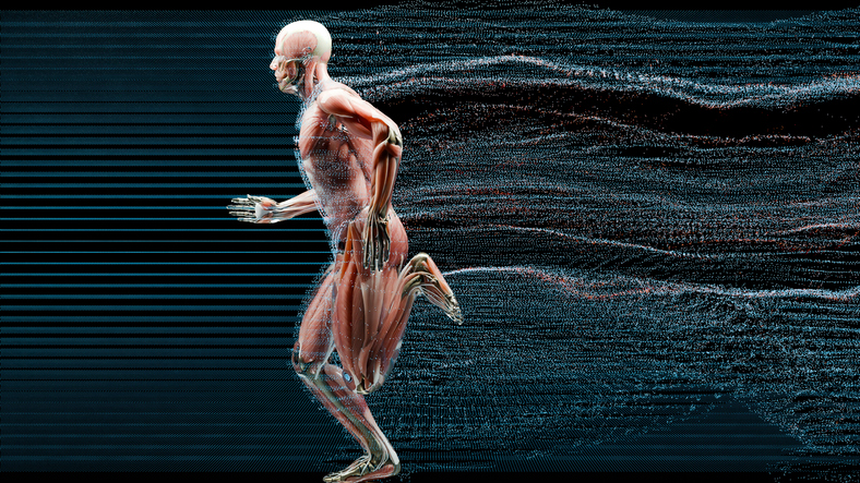 Link to The smart spiderweb in your body