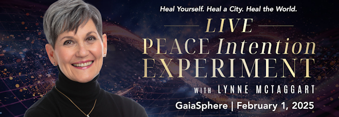 Link to The Healing Experiment for America